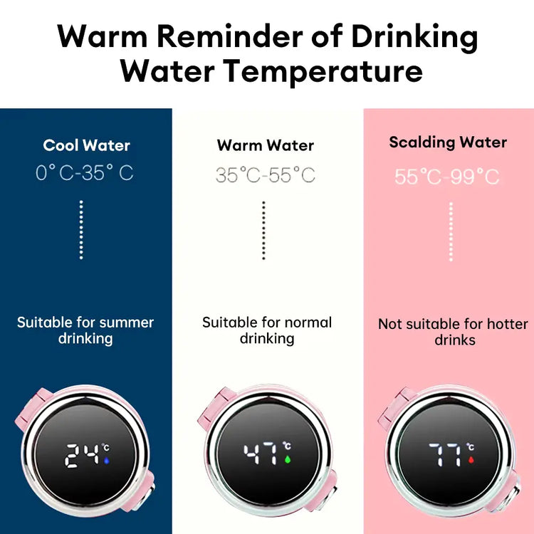  420ML Smart LED Temperature Display Thermos – Vacuum Insulated Stainless Steel Travel Mug